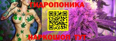 прущие грибы Кумертау