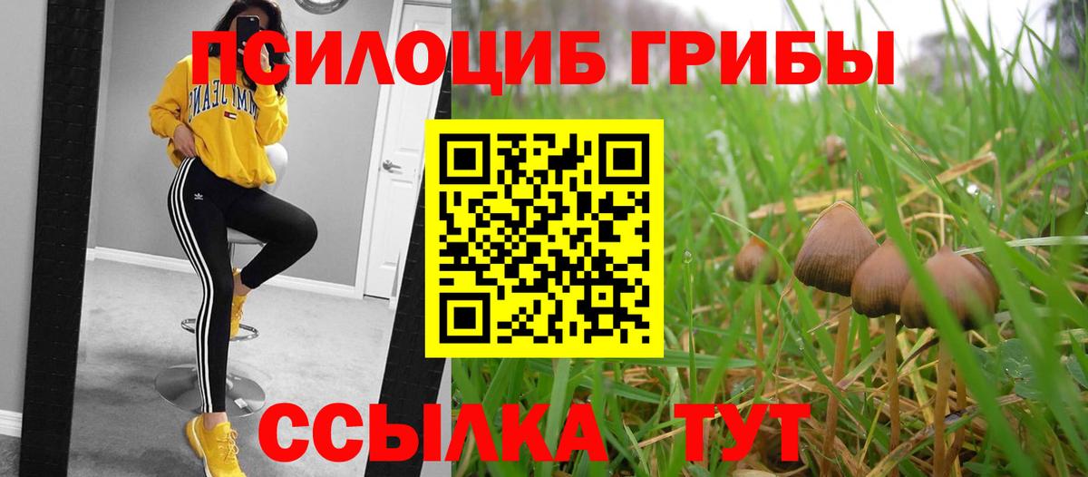 Псилоцибиновые грибы мицелий Ейск