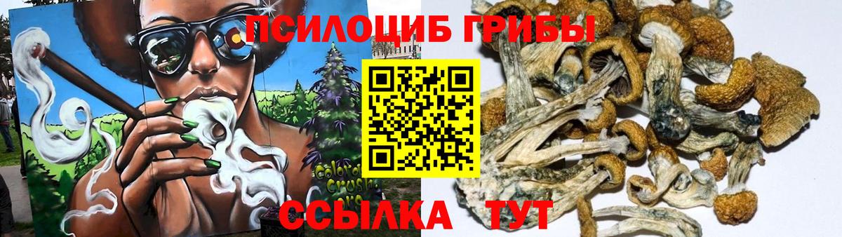 Галлюциногенные грибы ЛСД  Вход с VPN  Псилоцибиновые грибы прущие грибы  Ейск 